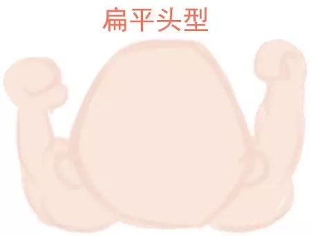 ԲͷվɱͷЩ趼֪2.webp.jpg